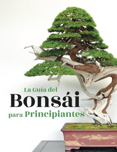 La Guía del Bonsái para Principiantes