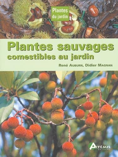 Plantes sauvages comestibles au jardin