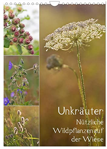 Unkräuter - Nützliche Wildpflanzen auf der Wiese (Wandkalender 2026 DIN A4 hoch), CALVENDO Monatskalender (CALVENDO Natur)