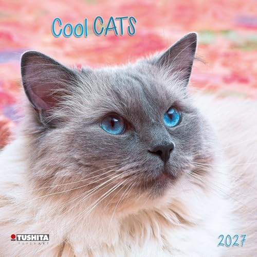 Cool Cats 2027: Kalender 2027 (Wonderful World)