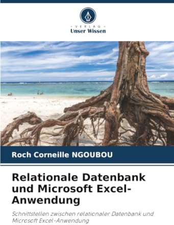 Relationale Datenbank und Microsoft Excel-Anwendung: Schnittstellen zwischen relationaler Datenbank und Microsoft Excel-Anwendung