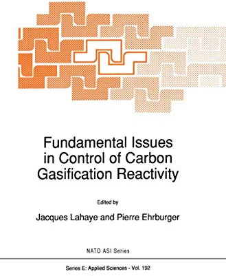 Fundamental Issues in Control of Carbon Gasification Reactivity: (closed)) (NATO Science Series E:, Band 192)