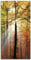ARTland Wanddeko Glasbilder Wandbild Glas Bild einteilig 30x60 cm Hochformat Natur Landschaft Wald Herbst Sonne Bäume Landhaus T5VL