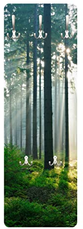 Bilderwelten Garderobe - Enlightened Forest - Landhaus Grün, Größe HxB:105cm x 34cm