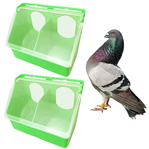 Pigeon Feeder Water 2 Pack Quail Bird Chicken Feeder Water Dispenser Drinkers with 2 Hole Pet Bowls & Feeders Eat Food (Two Hole (Green))