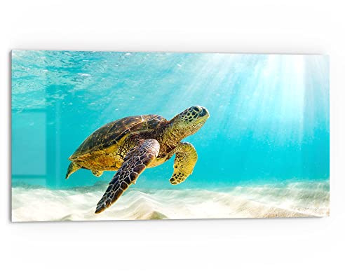 DEQORI Küchenrückwand Glas | Motiv Schildkröte unter Wasser | 80x40 cm | Bad- oder Herd-Rückwand | Herdblende Spritzschutz für Küche & Badezimmer | moderne Deko für Fliesenspiegel