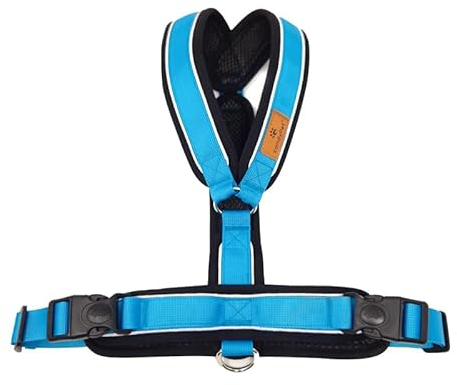 Reflektierendes Hundegeschirr in Y-Form, ideal für Lebreles: Italienischer Windhund, Whippet, Windhund, Podenco - sicher, atmungsaktiv und langlebig, perfekt zum Training und Laufen, Himmelblau, S