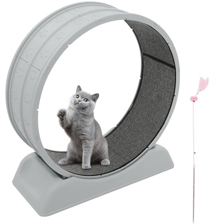80 cm, Rueda Grande para Gatos de casa, Robusta Bicicleta de Fitness con Hebilla de Seguridad, Alfombra y caña de Juego, para Todos los Gatos de hasta 10 kg (Gris)
