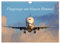 Flugzeuge am blauen Himmel (Wandkalender 2026 DIN A4 quer), CALVENDO Monatskalender: Dieser Kalender zeigt eine Vielzahl an Flugzeuge bei ... werden erläutert! (CALVENDO Mobilitaet)