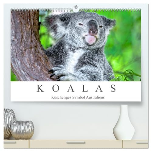 Koalas - Kuscheliges Symbol Australiens (hochwertiger Premium Wandkalender 2026 DIN A2 quer), Kunstdruck in Hochglanz: Einzigartige Bewohner der Eukalyptuswälder Australiens. (CALVENDO Tiere)