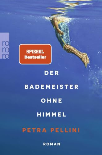 Der Bademeister ohne Himmel: Roman