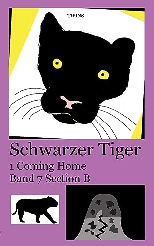 Schwarzer Tiger 1 Coming Home: Band 7 Section B