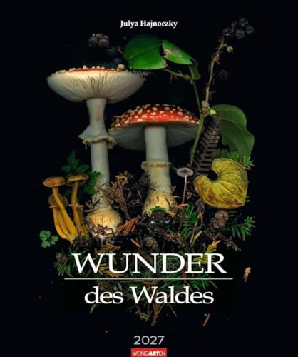 Wunder des Waldes 2027: Jahres-Wandkalender mit magischer Makrofotografie von Pilzen, Kräutern und weiteren Pflanzen. Farbintensiver Monatskalender, der mystische Stimmung verbreitet