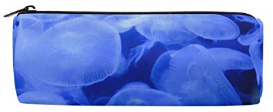 FANTAZIO Federmäppchen für Jungen, Blau Medusa