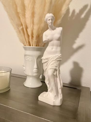PEYZCNOK Venus de Milo Statue, klassische griechisch-römische Mythologie, Göttin Aphrodite, 29,8 x 8,9 x 5,5 cm, weißes Kunstharz, Kunst für Zuhause, Büro