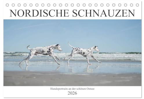 Nordische Schnauzen (Tischkalender 2026 DIN A5 quer), CALVENDO Monatskalender: Hundeportraits fotografiert an der schönen Ostsee (CALVENDO Tiere)