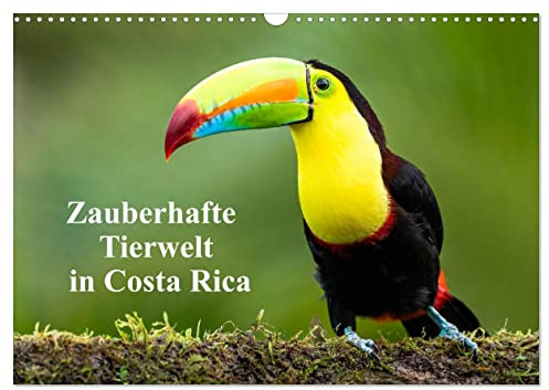 Zauberhaft Tierwelt in Costa Rica (Wandkalender 2026 DIN A3 quer), CALVENDO Monatskalender: Mehrere Millionen Besucher bereisen jährlich dieses Land, ... und Fauna zu bestaunen. (CALVENDO Tiere)