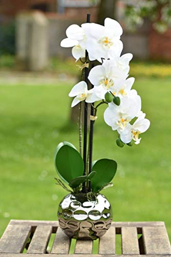 Orchidee Kunstpflanze Phalaenopsis creme Höhe 48cm Keramiktopf silber 13cm
