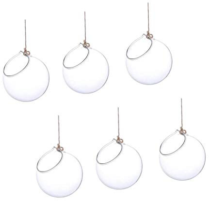 Backbayia 6pcs Vase Suspendu Verre Transparent Pot de Fleurs Décoration de Jardin Maison