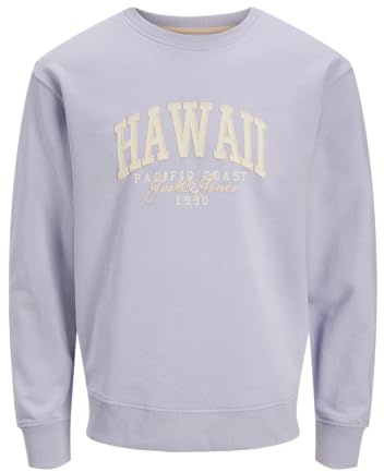 Jack & Jones Herren Jjdetroit Sweat Crew Neck Jjdetroit Sweat Crew Neck (1er Pack)