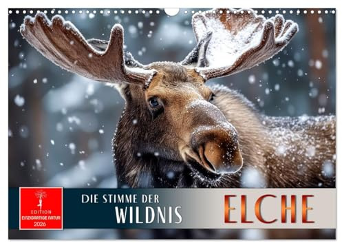 Elche - die Stimme der Wildnis (Wandkalender 2026 DIN A3 quer), CALVENDO Monatskalender: Die nordischen Könige des Waldes in Szene gesetzt. (CALVENDO Tiere)