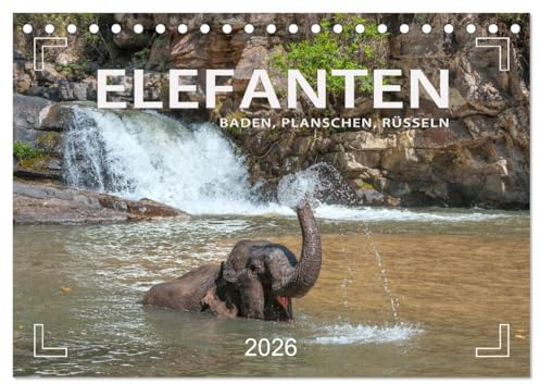 Elefanten - Baden, Planschen, Rüsseln (Tischkalender 2026 DIN A5 quer), CALVENDO Monatskalender: Planschvergnügen und Badespaß für die Jumbos (CALVENDO Tiere)