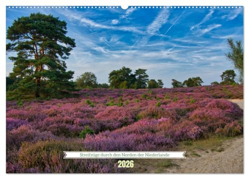 Streifzüge durch den Norden der Niederlande (Wandkalender 2026 DIN A2 quer), CALVENDO Monatskalender: Nordholland - wunderschöne Natur, endlos lange Sandstrände und urige Orte (CALVENDO Orte)
