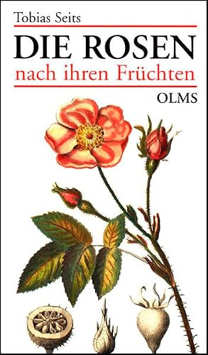 Die Rosen nach ihren Früchten