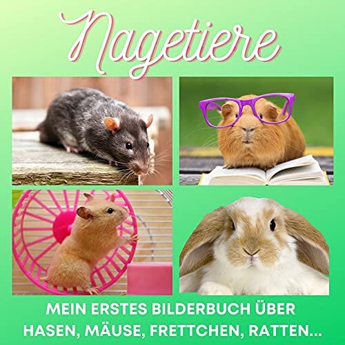 Nagetiere: Mein erstes Bilderbuch über Hasen, Mäuse, Frettchen, Ratten...