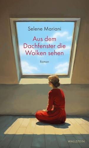 Aus dem Dachfenster die Wolken sehen: Roman