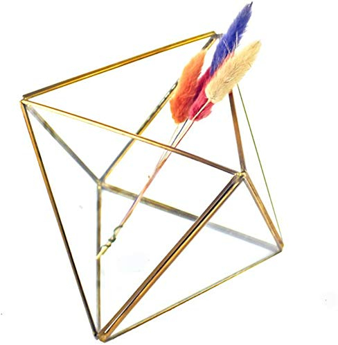 Schmuck-Aufbewahrungsbox Glas Terrarium Design Schmuckhalter klar facettiert Sukkulenten Luft Pflanze Pflanzkasten Topf Andenken Display (Farbe: Gold)