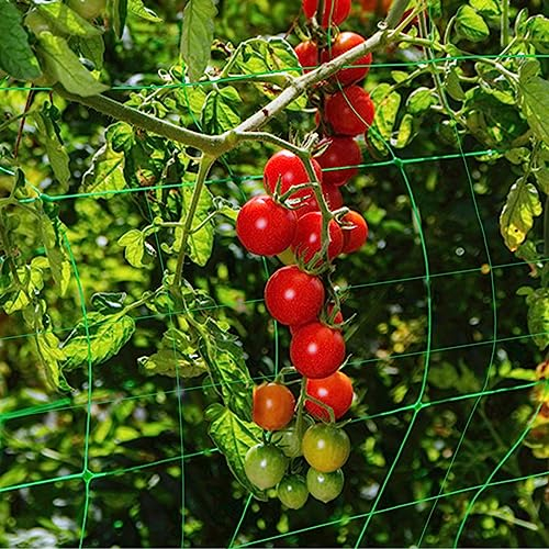 idudu Ranknetz mit 27 Pflanzenbinder 1.8m x 2.7m Grow Netz Kletternetz für Gemüse Früchte Blumen Gummi Wachsen Zelt Netz Elastische Spalier Netz für Gurken