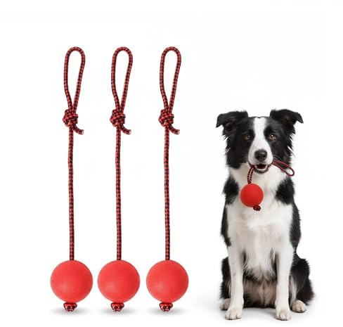 AUFIKR 3-Pack Dog Ball on Rope, Durable Tug Toys for Dogs, Bouncy Rubber Chew Toy with Rope, Interactive Ball on Rope Dog Toy for Small Dogs (Small)