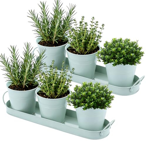 DAJAVE 2 Set Herb Planter Indoor Windowsill Herb Pots for Kitchen, Metal Herbs Planters Indoor Herbs Pots for Basil, Mint, Rosemary, Parsley