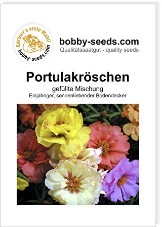 Blumensamen Portulakröschen Gefüllte Mischung Portion