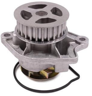 Hepu P557 Wasserpumpe