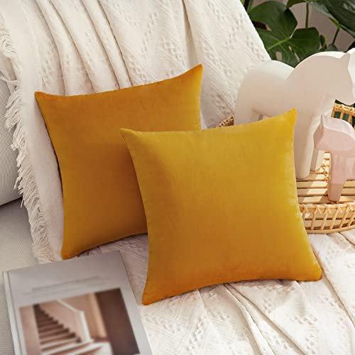 MIULEE Samt Kissenbezug Kissenhülle Kissenbezüge Sofakissen Dekorative Dekokissen Couchkissen Deko Bezug Überzug für Kinder Sofa Wohnzimmer Schlafzimmer 2er Set 30x30 cm Golden