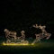 Lights4fun 120cm Dual LED Rentier mit Schlitten Silhouette mit Timer Strombetrieben Weihnachtsdeko Außen Rentier Outdoor