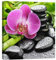 Posterlounge Zen-Steine und rosafarbene Orchidee Leinwandbild 20 x 20 cm Wandbilder Wanddeko