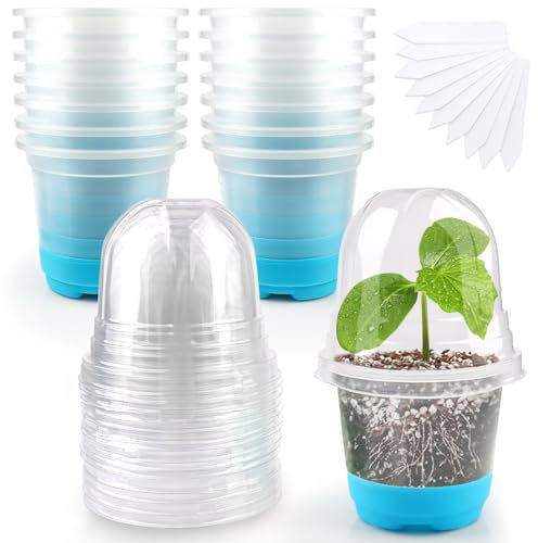 Kalolary 15 Stück Klare Anzuchttöpfe mit 15 Feuchtigkeitskuppel, Blumentopf aus Kunststoff Sämling StartTöpfe mit Ablauflöchern für Umpflanzen von Blumenpflanzensämlingen (Blau)
