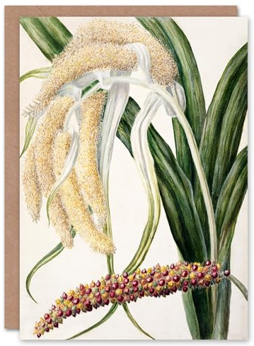 Artery8 Sarah Featon Art Card New Zealand Perching Lily Flower Plant