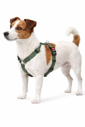 hundegeschirr - ziggi kaki H-Form - größe S - 35-50 cm / 40-50 cm - 15 mm - Nylon hundegeschirr verstellbar