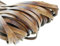 esnado Lederband Flach 10 mm x 2,5 mm. Antik Braun - 5 Meter