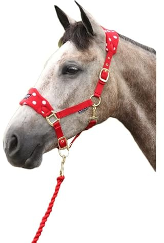 Supreme Products Halfter und Führstrick aus Fleece, gepunktet, Rosette, Voll