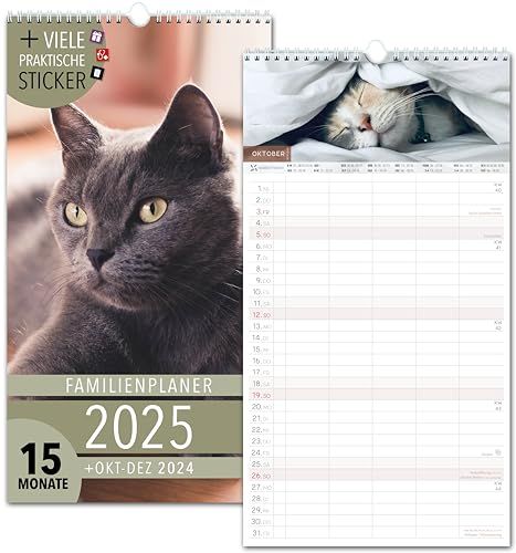 Familienkalender 2025 5 Spalten KATZEN Familienplaner 2025 und Okt-Dez 2024 Wandkalender 23 x 43cm Planer für Familie 2025 Wandplaner STICKER Recycling Urlaub, Pflanzkalender niedlich Kätzchen Cats