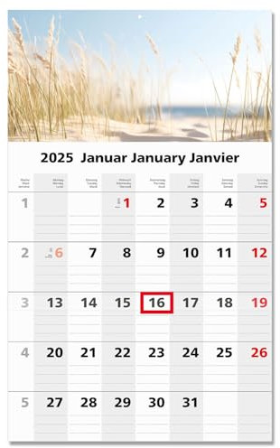 Timr 1-Monatskalender 2025 Dünen I Einblatt-Wandkalender I 30 x 49 cm I mehrsprachig D/GB/F Monatsplaner mit Schieber I Mehrblatt-Kalender I tr285