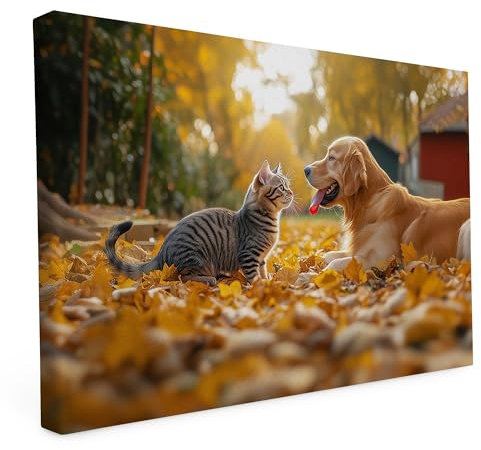 druck.de Keilrahmen - Katzen und Hunde Motive - Wandbild auf Künstler Leinwand – Hochwertiger Kunstdruck - 2cm Holzrahmen mit 280g Canvas - Katz und Hund, 60x40 cm - Quer