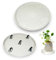 FengZeYing 2 ruedas ocultas con ruedas de 12 pulgadas, 5 abastecimientos invisibles, soporte para plantas rodantes, plataforma rodante, base de rodillo para macetas con ruedas, paleta de plantas de