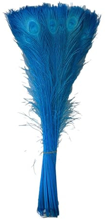 SMTCM Pfauenfedern 5 Stück Pfau Federn Lang Federn Basteln Natur Natürliche Federn Pfauenfedern Natürliche Bastelfedern Pfau Vogelfedern Bastelfedern Bunt Federn zum Basteln Für DIY Dekor