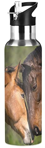Vnurnrn Cheval Couple Animal Sauvage Bouteille d'eau Isotherme avec Paille en Acier Inoxydable Gourde 600ML, Sans Bpa Gourdes Eau pour Enfant Sport Randonnée École Bureau